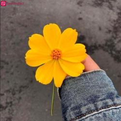 ابی من خالی از عاطفه و خشم